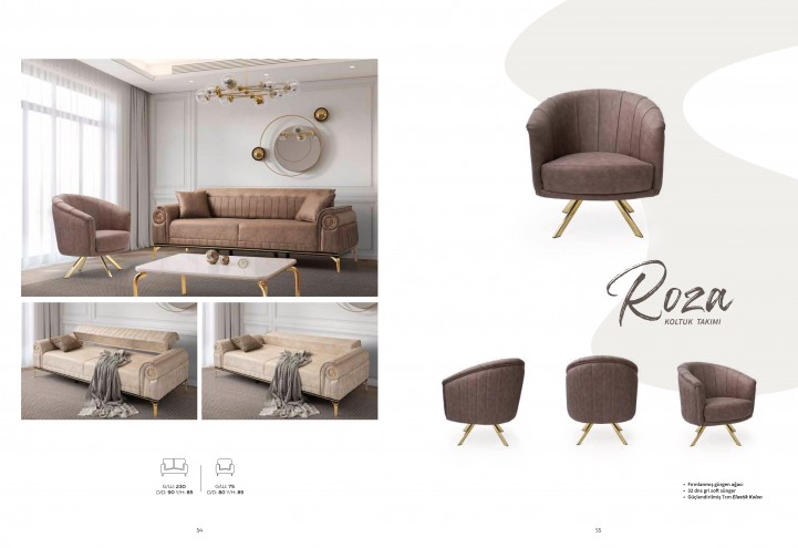 Roza Koltuk Takımı